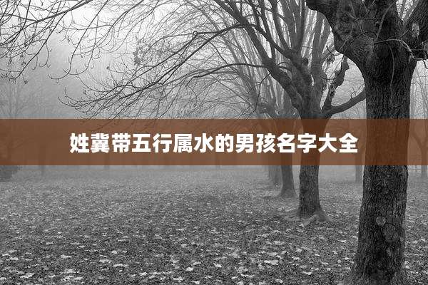 姓冀带五行属水的男孩名字大全