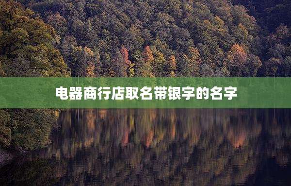 电器商行店取名带银字的名字