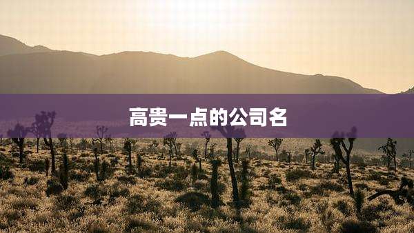 高贵一点的公司名