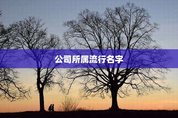 公司所属流行名字