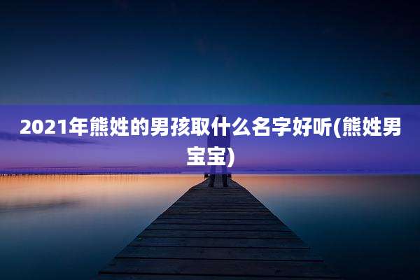 2021年熊姓的男孩取什么名字好听(熊姓男宝宝)