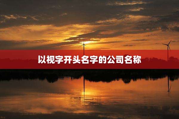 以视字开头名字的公司名称