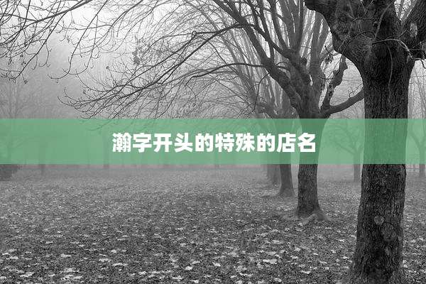 瀚字开头的特殊的店名
