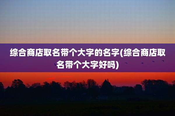 综合商店取名带个大字的名字(综合商店取名带个大字好吗)