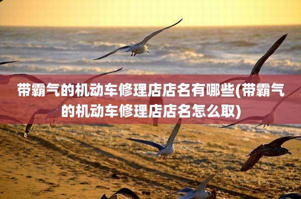 带霸气的机动车修理店店名有哪些(带霸气的机动车修理店店名怎么取)