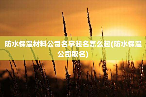 防水保温材料公司名字起名怎么起(防水保温公司取名)
