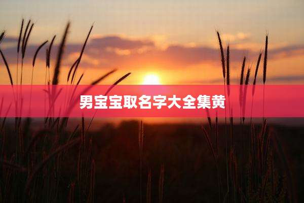 男宝宝取名字大全集黄