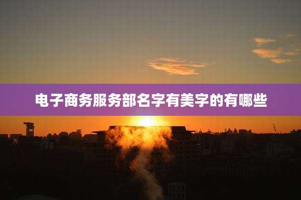电子商务服务部名字有美字的有哪些