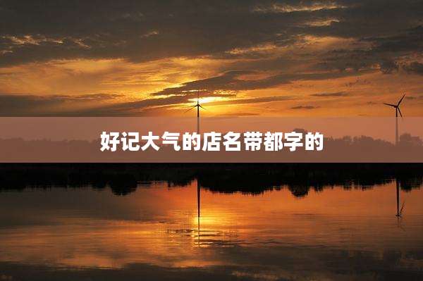 好记大气的店名带都字的