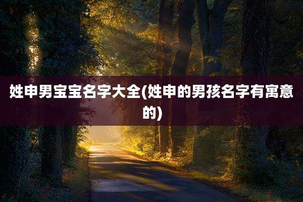 姓申男宝宝名字大全(姓申的男孩名字有寓意的)