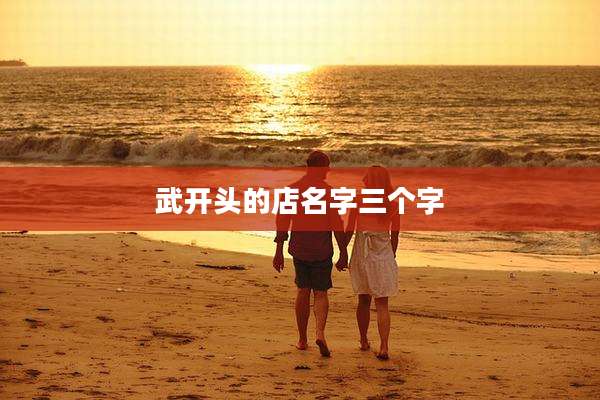 武开头的店名字三个字