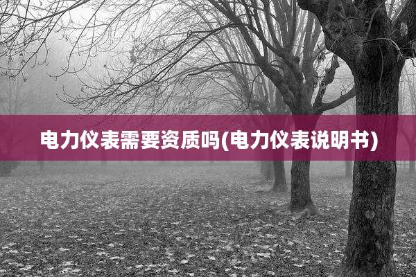 电力仪表需要资质吗(电力仪表说明书)