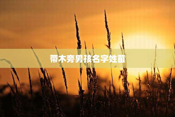 带木旁男孩名字姓苗