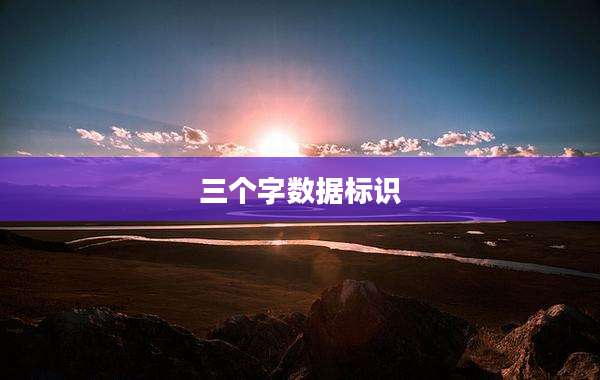 三个字数据标识