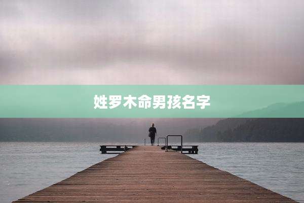 姓罗木命男孩名字