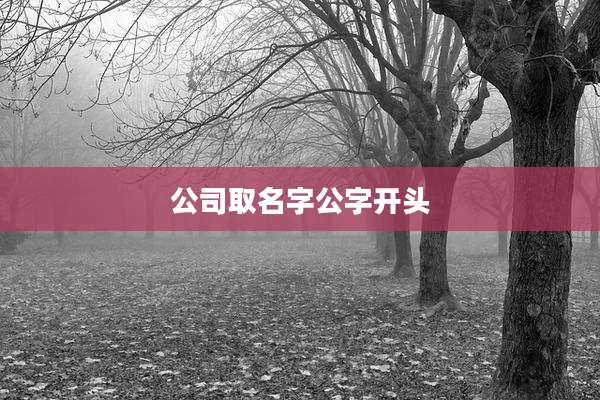 公司取名字公字开头