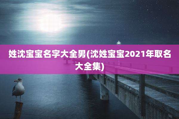 姓沈宝宝名字大全男(沈姓宝宝2021年取名大全集)