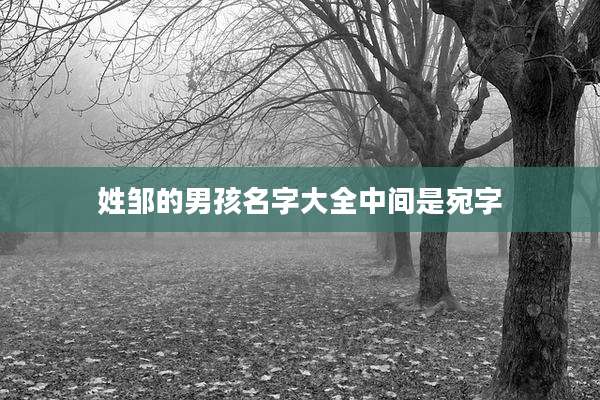 姓邹的男孩名字大全中间是宛字