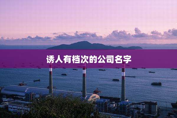 诱人有档次的公司名字