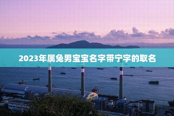 2023年属兔男宝宝名字带宁字的取名