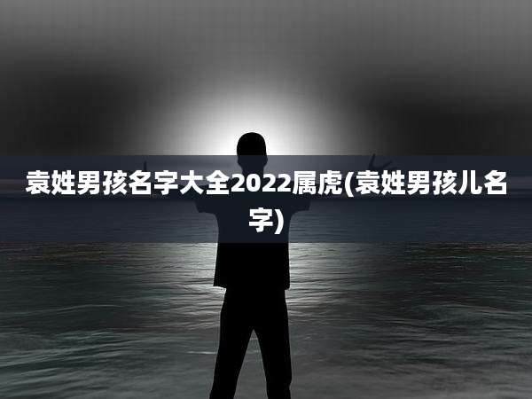袁姓男孩名字大全2022属虎(袁姓男孩儿名字)
