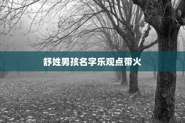 舒姓男孩名字乐观点带火