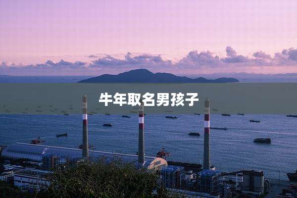 牛年取名男孩子