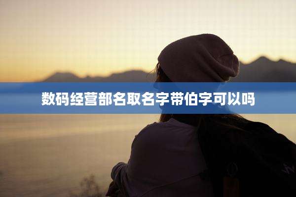 数码经营部名取名字带伯字可以吗
