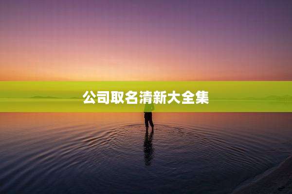 公司取名清新大全集