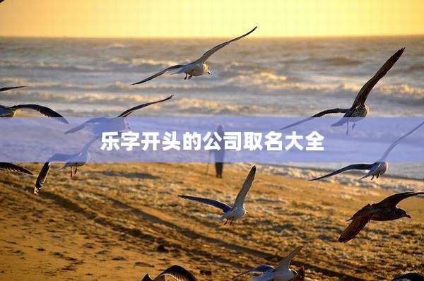 乐字开头的公司取名大全