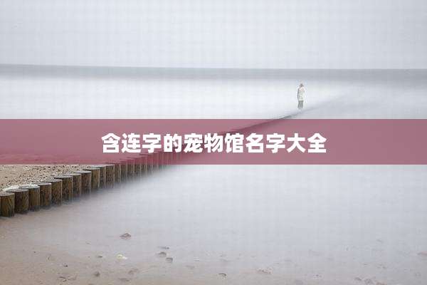 含连字的宠物馆名字大全