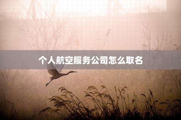 个人航空服务公司怎么取名