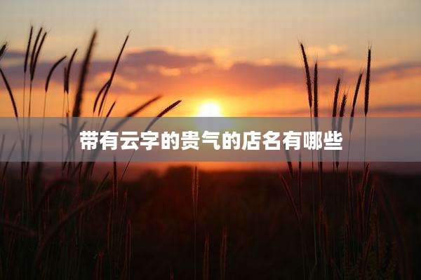带有云字的贵气的店名有哪些