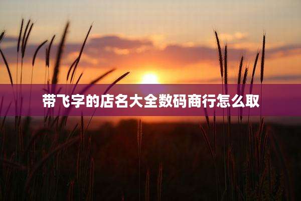 带飞字的店名大全数码商行怎么取