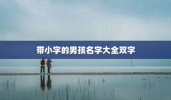 带小字的男孩名字大全双字