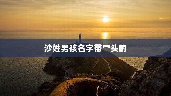 沙姓男孩名字带宀头的