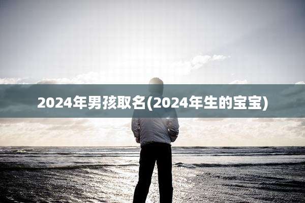 2024年男孩取名(2024年生的宝宝)