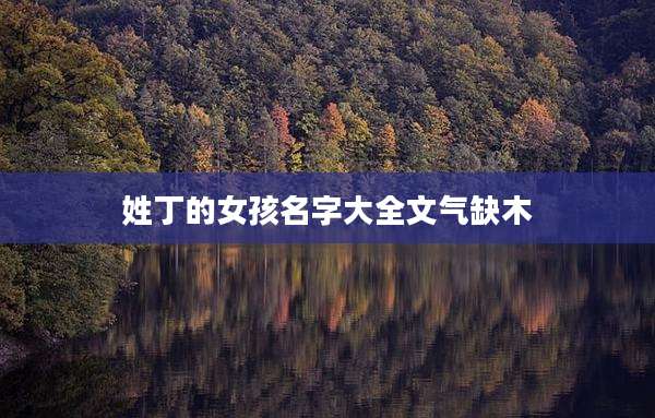 姓丁的女孩名字大全文气缺木
