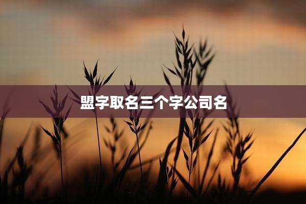 盟字取名三个字公司名