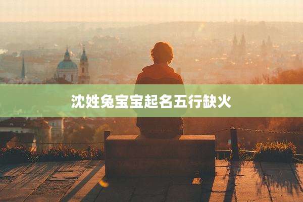 沈姓兔宝宝起名五行缺火