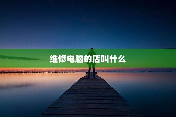 维修电脑的店叫什么