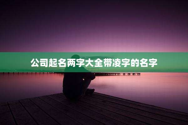 公司起名两字大全带凌字的名字