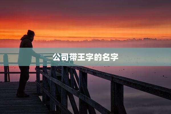 公司带王字的名字