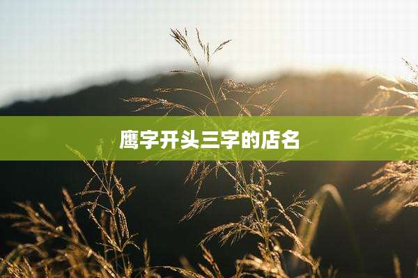 鹰字开头三字的店名