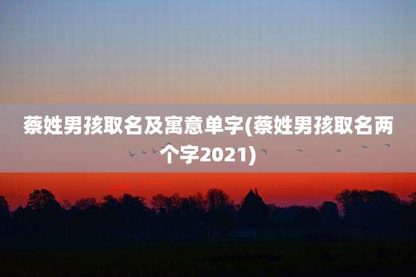 蔡姓男孩取名及寓意单字(蔡姓男孩取名两个字2021)