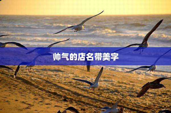 帅气的店名带美字