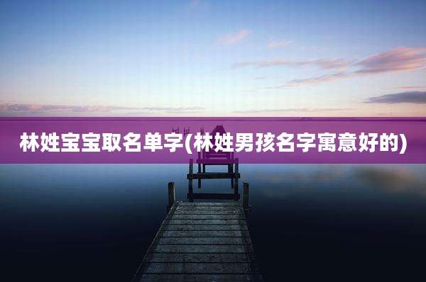 林姓宝宝取名单字(林姓男孩名字寓意好的)