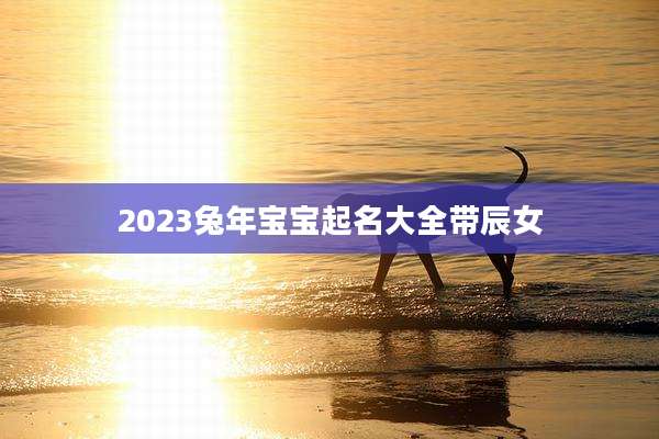 2023兔年宝宝起名大全带辰女