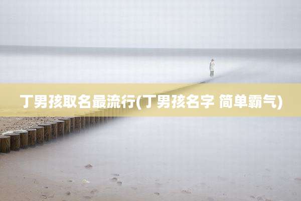 丁男孩取名最流行(丁男孩名字 简单霸气)