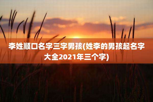 李姓顺口名字三字男孩(姓李的男孩起名字大全2021年三个字)